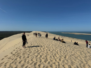 Photo de galerie - Promenades et sorties véhiculées