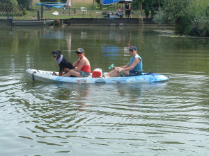 Photo de galerie - Dans l attente d'adoption d'un nouveau chien je serai heureux de m'occuper d'animaux principalement de chien. 