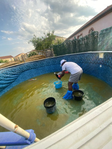 Photo de galerie - Entretien piscine