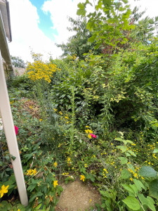 Photo de galerie - Jardinier