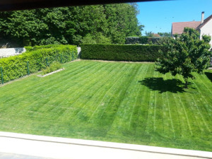 Photo de galerie - Paysagiste - Aménagement du jardin