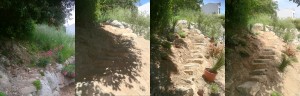 Photo de galerie - Débroussaillage / Création d'un escalier provençal en pierre de rocaille et d'un massif méditerranéen : 15heures 