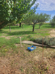 Photo de galerie - Avant 