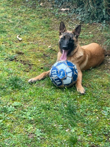 Photo de galerie - Une ancienne garde 