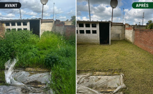 Photo de galerie - Débroussaillage puis tonte de pelouse 