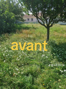 Photo de galerie - Tonte de pelouse - Débroussaillage