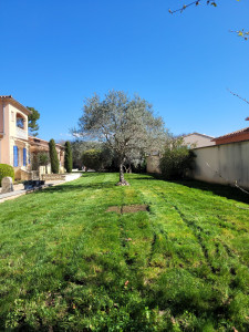 Photo de galerie - Tonte de pelouse - Débroussaillage