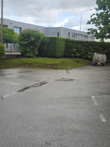 Photo de galerie - Nettoyage cour allée