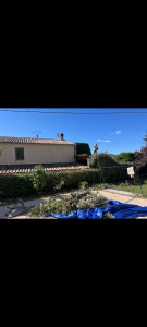 Photo de galerie - Impeccable 