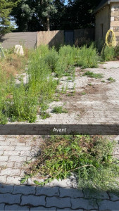 Photo de galerie - Paysagiste - Aménagement du jardin