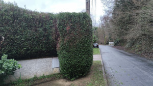 Photo de galerie - Taille de haie d'enceinte. L'objectif était double :
* Que la haie n'empiète pas sur la route, même le trottoir.
* Que le coffret de fibres au milieu du poteau reste accessible et secure pour les agents.