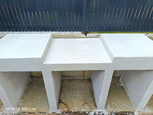 Photo de galerie - Crépis blanc polaire 