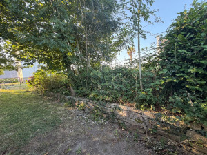 Photo de galerie - Paysagiste - Aménagement du jardin