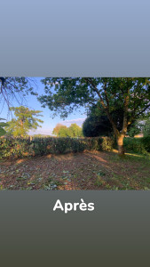 Photo de galerie - Rabattage de haie