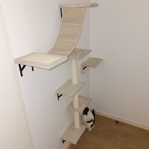 Photo de galerie - Installation et fixation d'un arbre à chat 