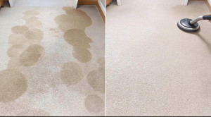 Photo de galerie - Nettoyage d’un tapis Avant / Après 