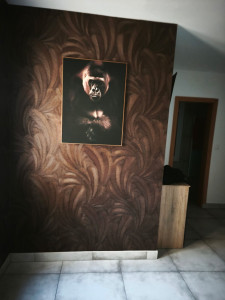 Photo de galerie - Pose papier peint 