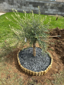 Photo de galerie - 2