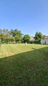 Photo de galerie - Tonte de 700m², client très heureux.
