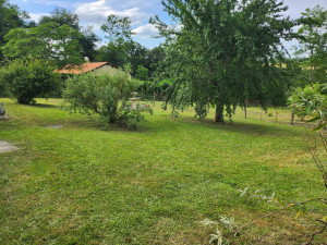 Photo de galerie - Après tonte et débroussailleuse 
