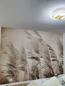 Photo de galerie - Pose de tapisserie panoramique