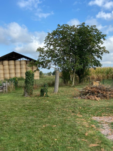 Photo de galerie - Après
