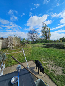 Photo de galerie - Tonte de pelouse - Débroussaillage