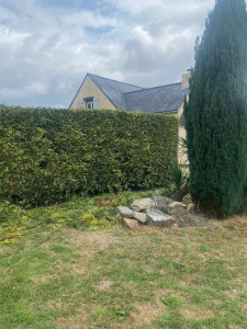 Photo de galerie - Taille de haies et d'arbustes