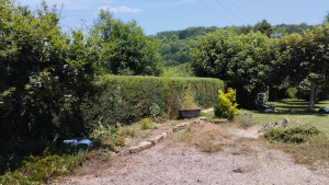 Photo de galerie - Taille de haies et d'arbustes