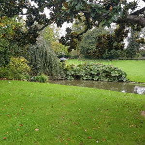 Photo de galerie - Paysagiste - Aménagement du jardin