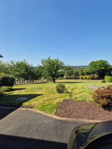 Photo de galerie - Tonte de pelouse - Débroussaillage