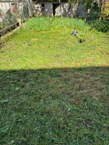 Photo de galerie - Jardinier