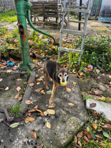 Photo de galerie - Visite au domicile 