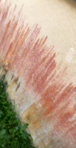 Photo de galerie - Couverture - Toiture