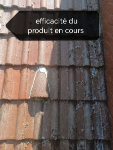 Photo de galerie - Nettoyage toiture façade.

