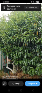 Photo de galerie - Paysagiste - Aménagement du jardin