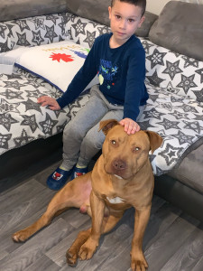Photo de galerie - Garde chien