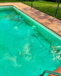 Photo de galerie - Avant l’entretien 