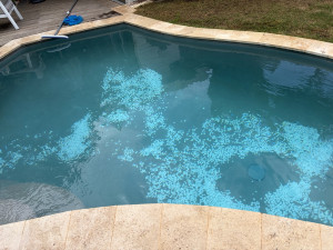 Photo de galerie - Entretien piscine