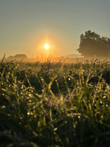 Photo de galerie - Garde animaux