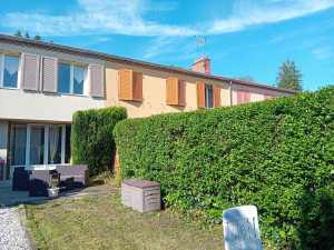 Photo de galerie - Taille de haie et tonte jardin 