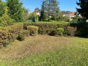 Photo de galerie - Bonjour propose  taille de haie  Tonte de pelouse  Débroussaillage  