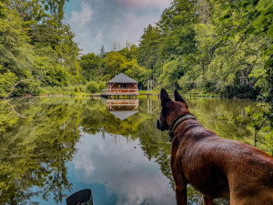 Photo de galerie - Balade en nature 