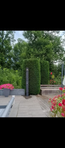 Photo de galerie - Jardinier