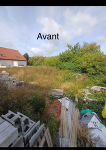 Photo de galerie - Avant Débroussaillage 
