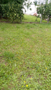 Photo de galerie - Temps de pelouse