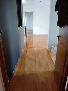 Photo de galerie - Rénovation parquet ancien, préparation ponçage rebouchage + vitrification 