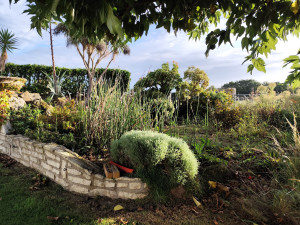 Photo de galerie - Paysagiste - Aménagement du jardin