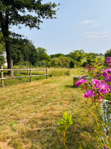 Photo de galerie - Tonte de pelouse - Débroussaillage
