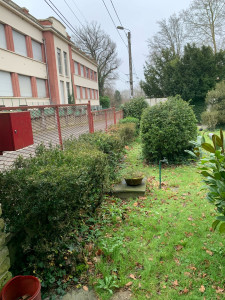 Photo de galerie - Arrachage d’une haie de Buis 